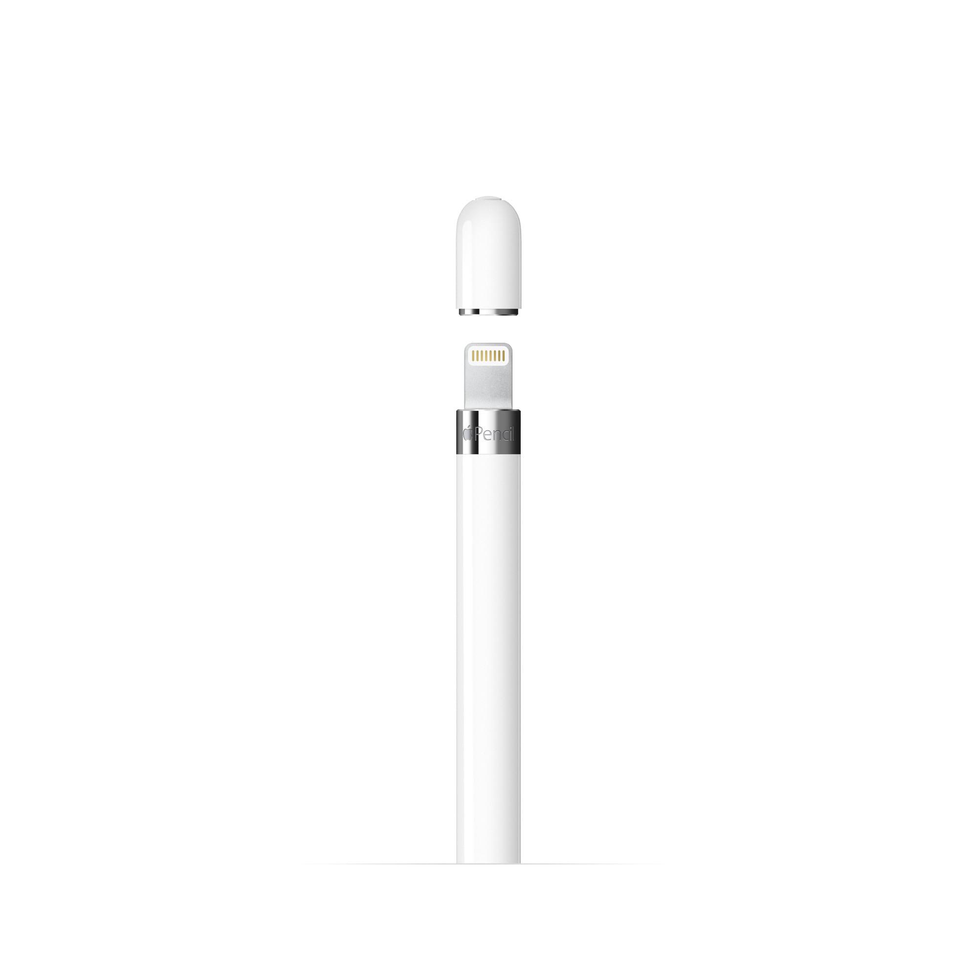 Apple Pencil USB-C | Beep Informática